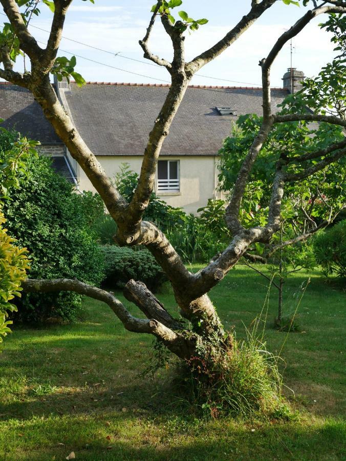 Chambres D'Hotes Kerioret Izella Kerlaz Luaran gambar